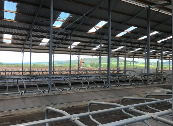 Telaio in acciaio per edificio/magazzino/tipo/H con struttura in acciaio